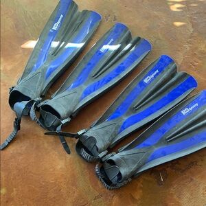 Blue and Gray Snorkeling Fins